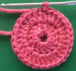 Crochet easy pig body second row