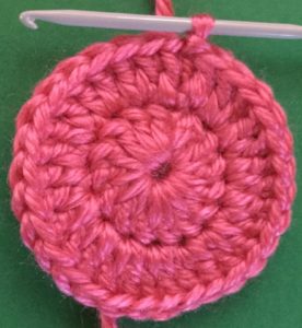 Crochet easy pig head second row