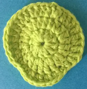 Crochet turtle head