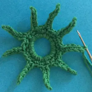 Crochet turtle joining for row two shell marking