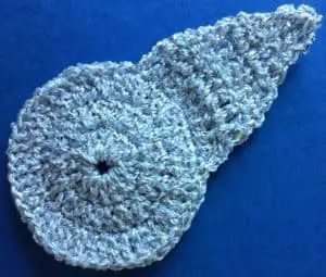 Crochet star first ray